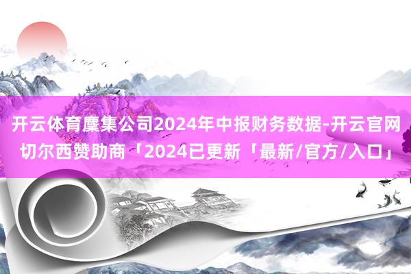 开云体育麇集公司2024年中报财务数据-开云官网切尔西赞助商「2024已更新「最新/官方/入口」