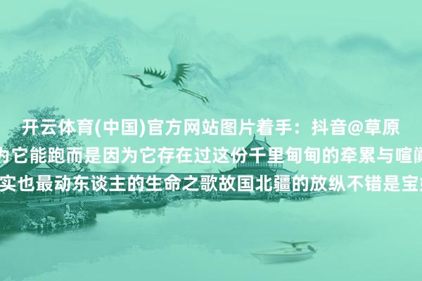 开云体育(中国)官方网站图片着手：抖音@草原骑士明哥供养它不是因为它能跑而是因为它存在过这份千里甸甸的牵累与喧阗的深情是草原上最朴实也最动东谈主的生命之歌故国北疆的放纵不错是宝妈的弓弦不错是新娘的慷慨不错是对生命的看护......这些齐是内蒙古东谈主的深情密码监制：赵静案牍：贺嘉琦贵寓着手：红山晚报、奔腾融媒、中国后生报、九派新闻、抖音网友留言等剪辑：刘晓君发布于：北京市-开云官网切尔西赞助商「2
