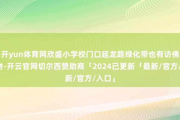 开yun体育网欣盛小学校门口延龙路绿化带也有访佛的植物-开云官网切尔西赞助商「2024已更新「最新/官方/入口」